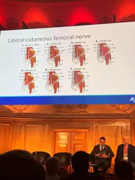 European Anterior Hip Meeting, ლონდონი, 2026