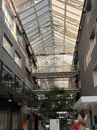 Schulthess Klinik, ციურიხი, 2026